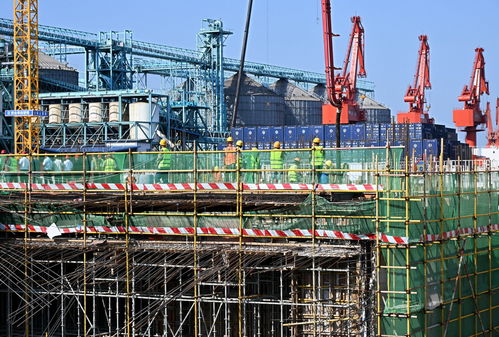 青岛国际邮轮港区抢抓施工黄金期，建设按下“快进键”，工程勘察稳步推进